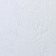 Cartoncino Bianco A4 230gr Goffrato Copertine Leathergrain 100pz - GBC CE040070