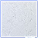 Cartoncino bianco A4 250gr Goffrato Copertine 100pz Fellowes CR53701