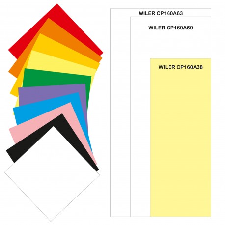 Carta colorata 160g 38X100mm 100 fogli 10 colori per TAG01 / TAG02 - Wiler CP160A38