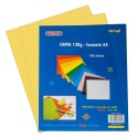 Carta Colorata Giallo 120g Formato A4 100 fogli - Wiler CP120C05