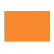 Cartoncino Bristol Colore Arancio Elle Erre 220g Formato 70x100 - Fabriano 46470108
