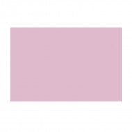 Cartoncino Bristol Colore Rosa Elle Erre 220g Formato 70x100 - Fabriano 46470116