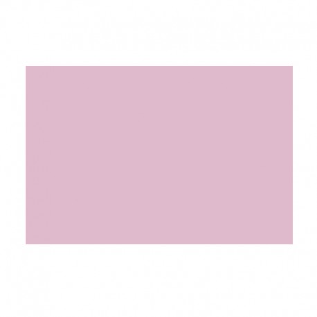 Cartoncino Bristol Colore Rosa Elle Erre 220g Formato 70x100 - Fabriano 46470116