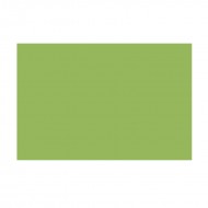Cartoncino Bristol Colore Verde Pisello Elle Erre 220g Formato 70x100 - Fabriano 46470110